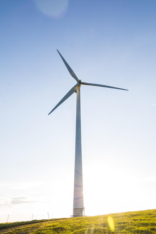 Wind turbine in sunlight